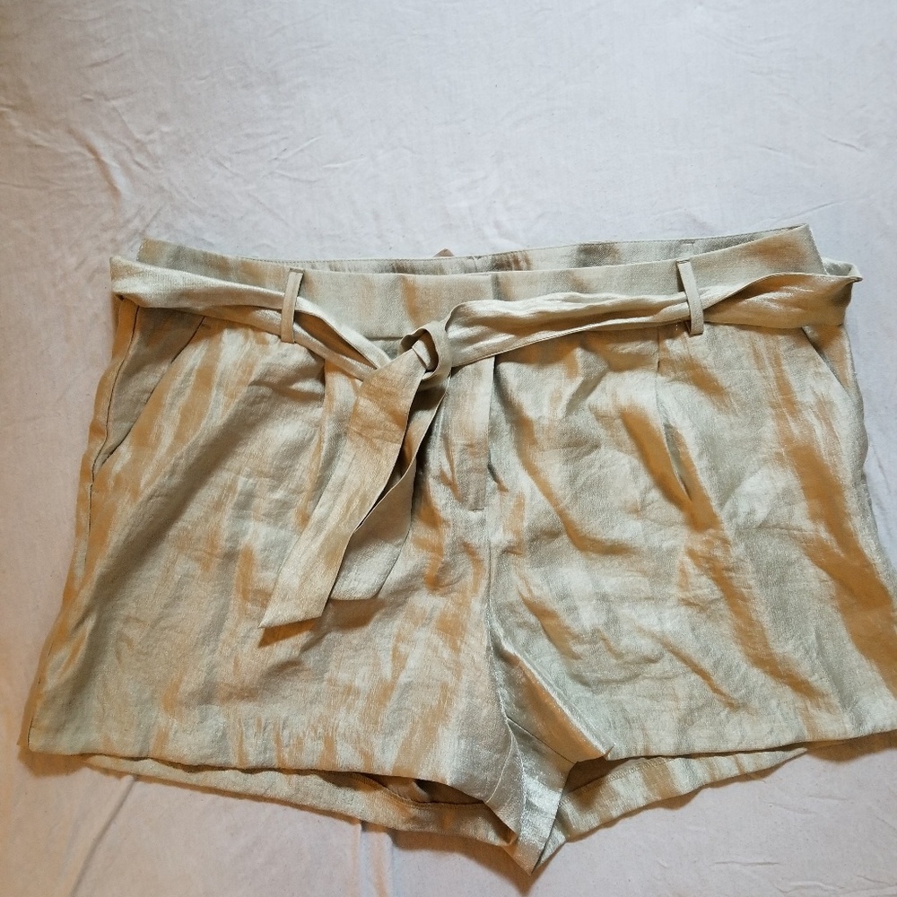 NWT Loft Dressy Shorts / Sz 18